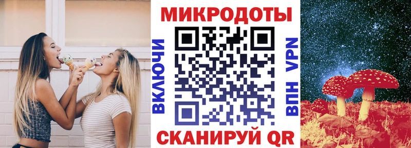 Галлюциногенные грибы Psilocybe  Суздаль 